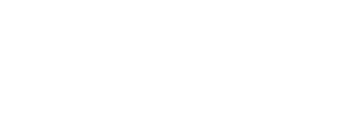 Seeker, Solana Mobile